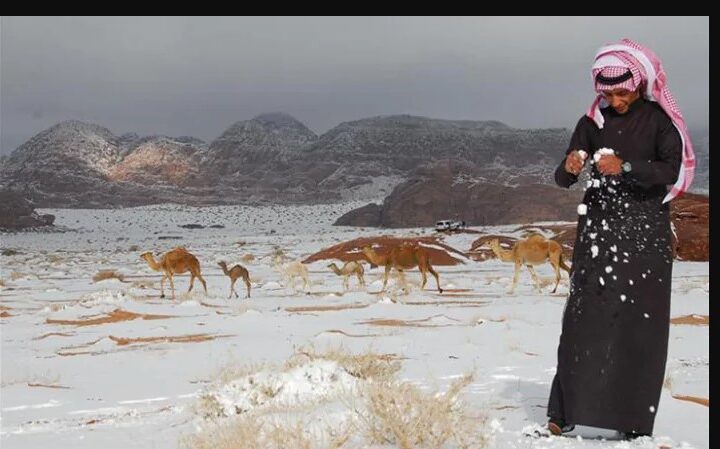 Bie borë në Arabinë Saudite..! (FOTO)