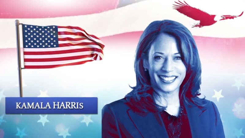 Mbështetësit e Kamala Harris të zhgënjyer kthehen në shtëpi..!? (VIDEO)