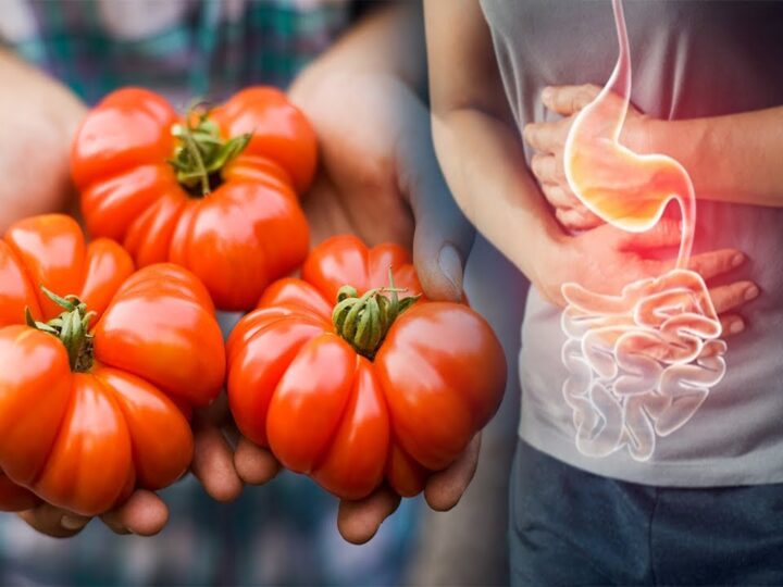 Këto janë 10 kuriozitete për domatet..!?