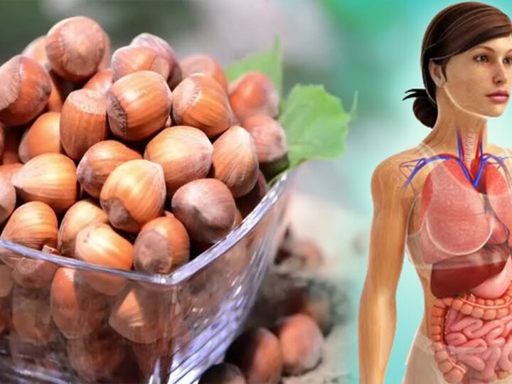 A e dinit ! Lajthia ka fuqinë të ‘shpërbëjë’ qelizat tumorale ?