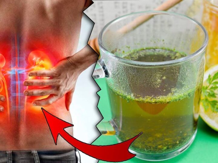 Vlerat e bimës së majdanozit për veshkat, trurin, mëlçinë dhe zemrën..!?