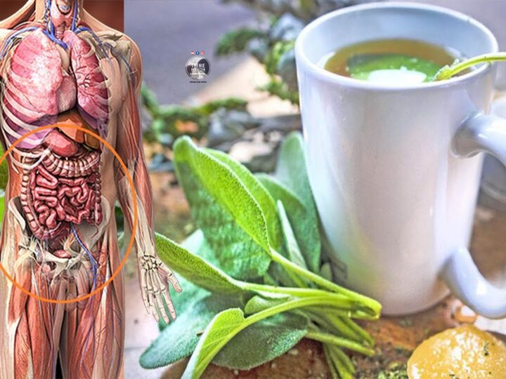 Shpëtoni veten! Pini çaj sherebele..?