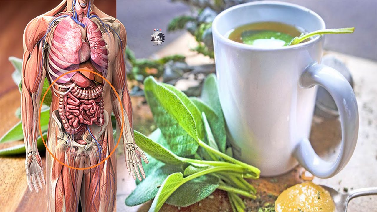 Shpëtoni veten! Pini çaj sherebele..?