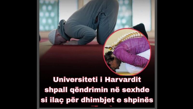 Univesiteti i Harvardit: Sexhdja është ilaç per shpinën..