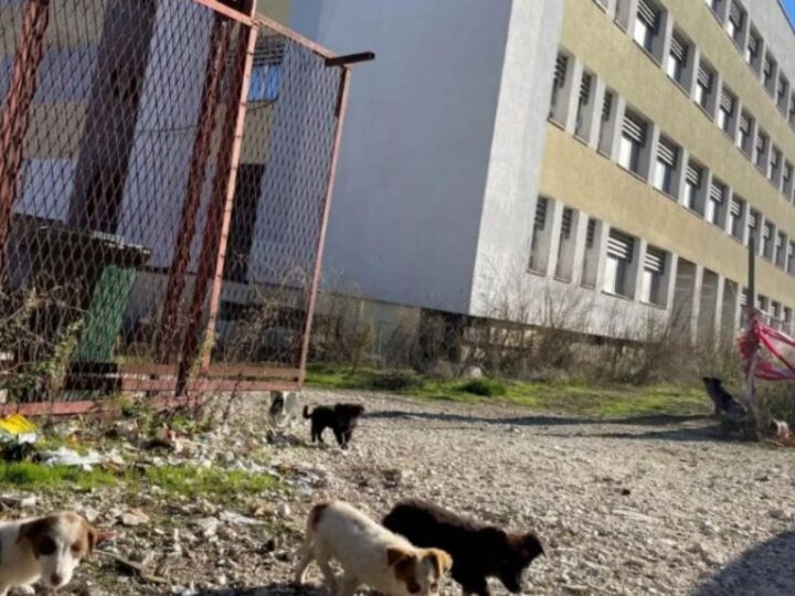 Tv Gurra: Objektet që nuk u ndërtuan në Kërçovë – premtime të parealizuara ndër vite ?