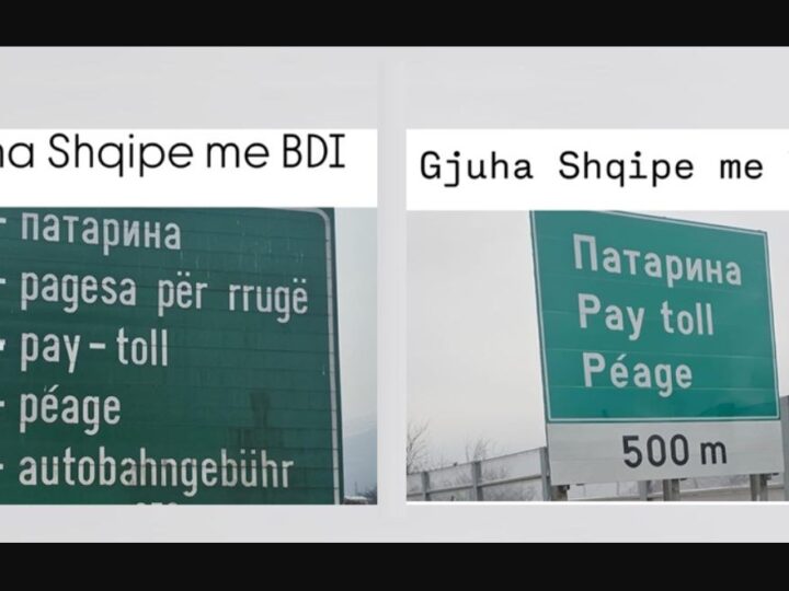 Reagon BDI-ja: Ja si ishte gjuha shqipe me ne, e si është me VLEN-in..