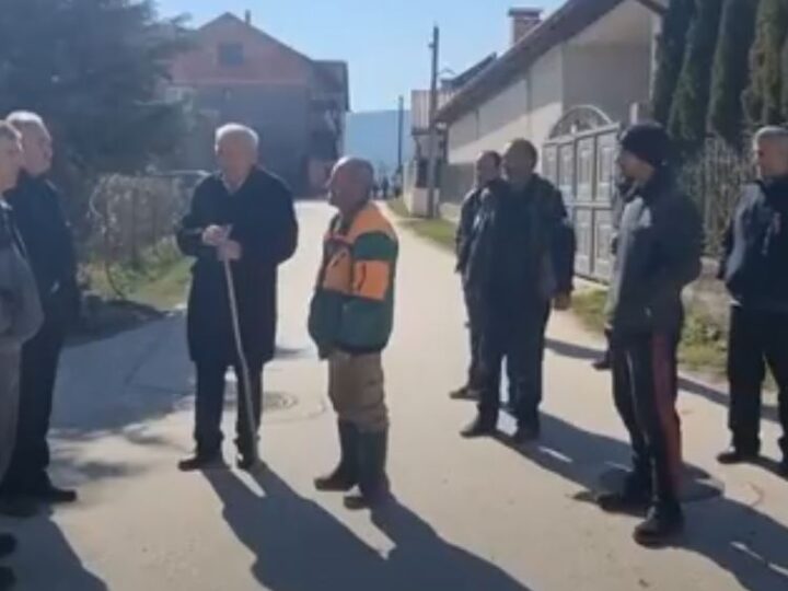Kërçovë: Mbi 15 qen të lidhur në oborr! (VIDEO)