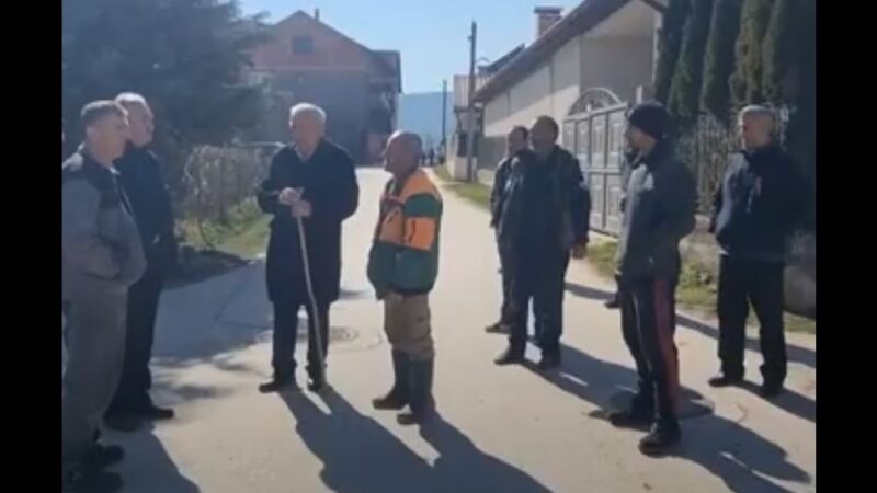 Kërçovë: Mbi 15 qen të lidhur në oborr! (VIDEO)