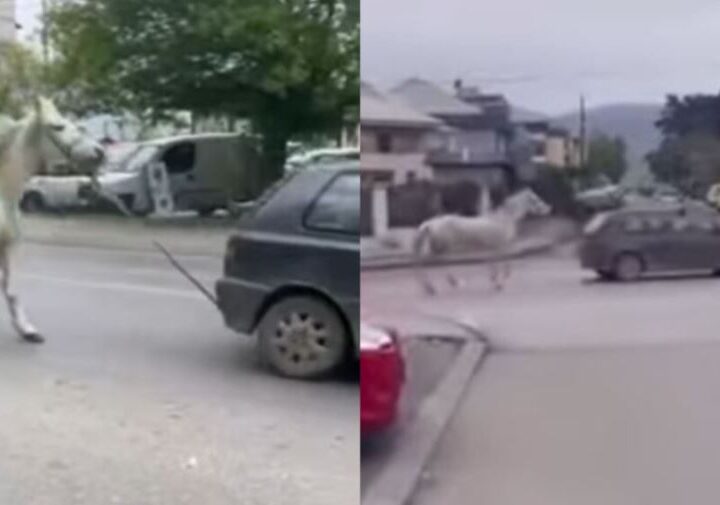 Policia e ka gjetur shoferin e Golf 3, i cili lëvizte  me kalë të lidhur prapa..!?