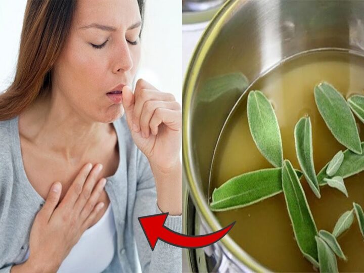 Këto jan përfitimet e çajit të sherebelës që nuk i keni ditur..!?