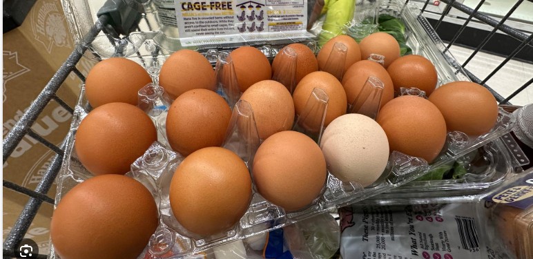 Vazhdon rritja e çmimit të vezëve..!?