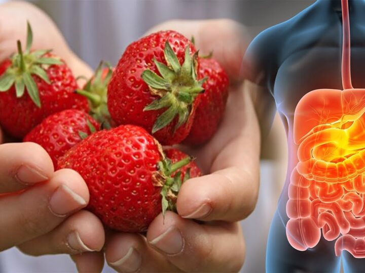 Çfarë efekte kuruese ka dredhëz..!?