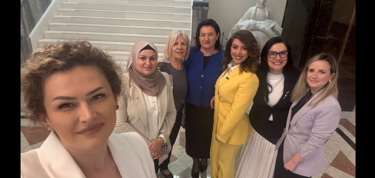 VLEN nga 11 deputetë 7 i ka deputete