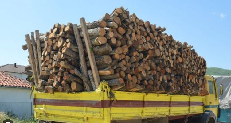 Dy persona që kishin prerë dru ilegalisht u përpoqën të shtypnin policët me kamion !