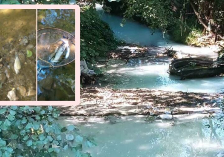 ALARM : Katastrofë ekologjike në Kërçovë ! (VIDEO)