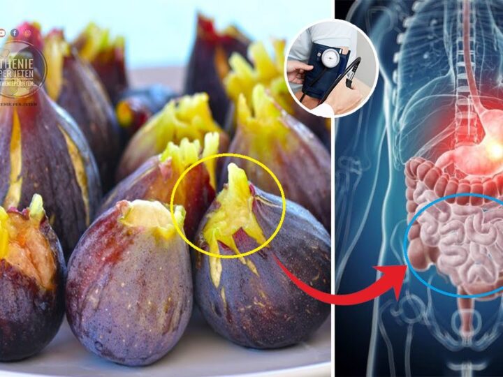 Fiku – ilaçi i bekuar që lufton sëmundjet dhe rinon trupin