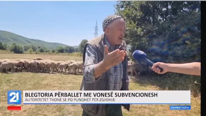 Blektorët e Kërçovës në hall (VIDEO)