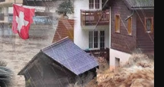 Zvicër: Alarm rreziku në nivelin katër nga shirat !