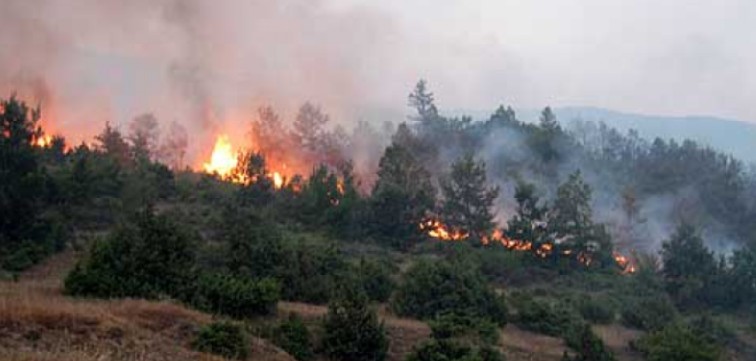 Alarm në Kërçovë – flakët afrohen pranë shtëpive, ndërhyrje urgjente !