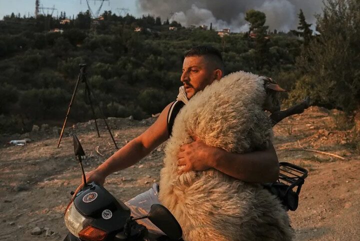 Fotoja e shqiptarit që po shpëtonte delen nga zjarri, futet në 12 më të mirat në botë  !