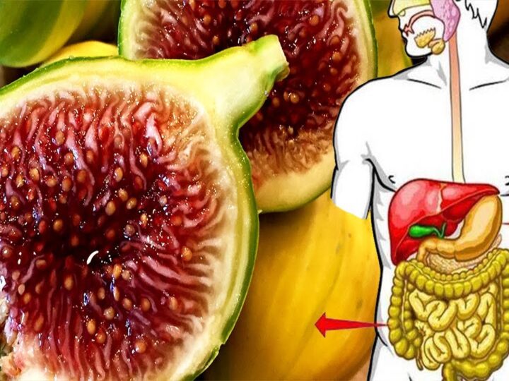 Fiku i bekurar dhe grerëzat që ham me të