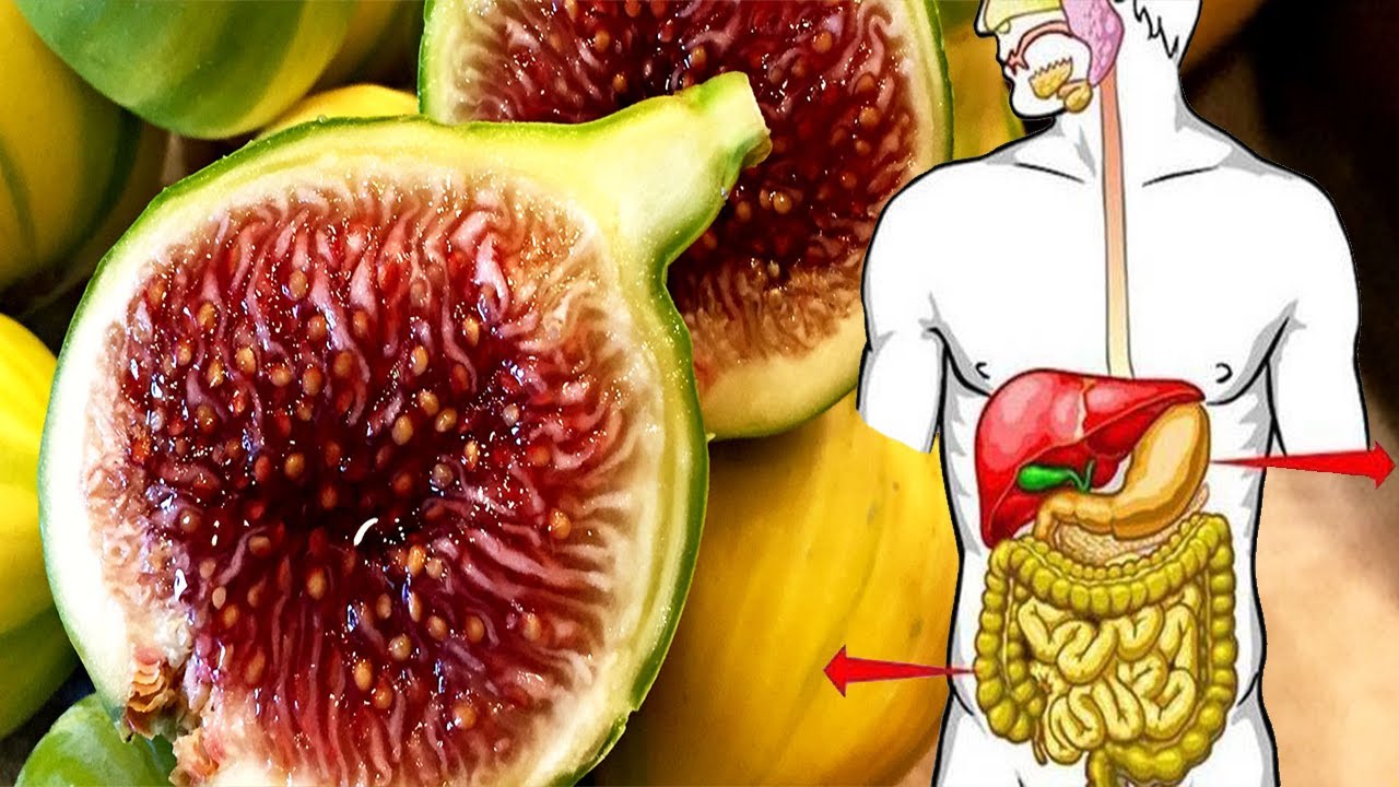 Fiku i bekurar dhe grerëzat që ham me të