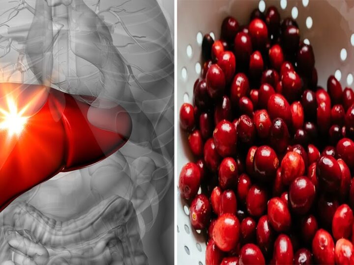 Thana dhe vetitë e saj shëruese, gjithçka që duhet të dini ?