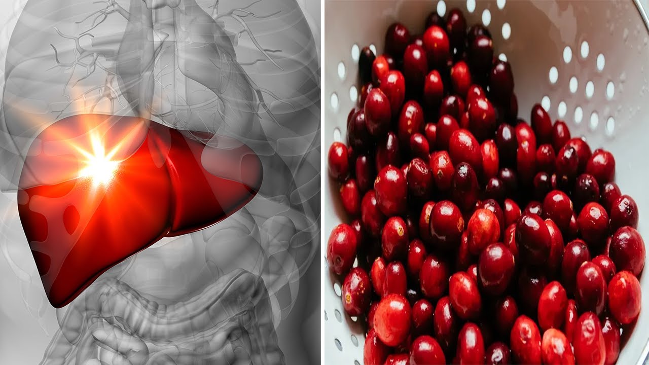 Thana dhe vetitë e saj shëruese, gjithçka që duhet të dini ?