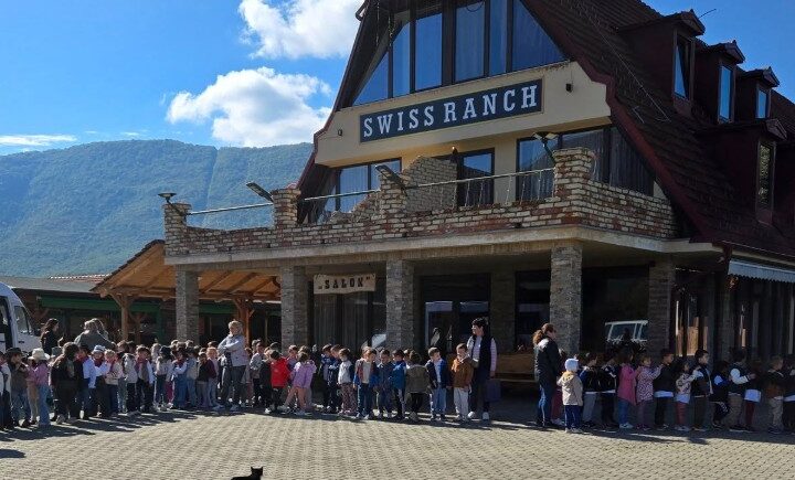 Java e Fëmijëve shënohet me aktivitete.  nga  kopshti i fëmijëve në Kërçovë tek Swiss Ranch