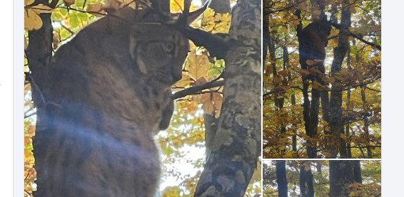 Takim magjik me Rrëqebullin Ballkanik në Kërçovë !