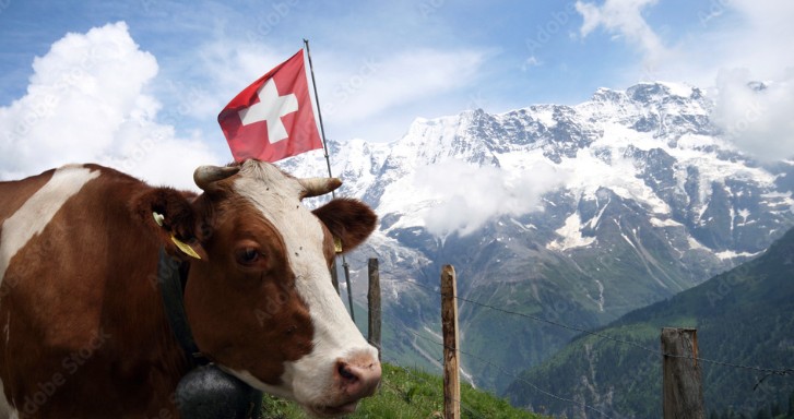 Rënia e çmimeve të qumështit vë nën presion fermerët zviceranë ?