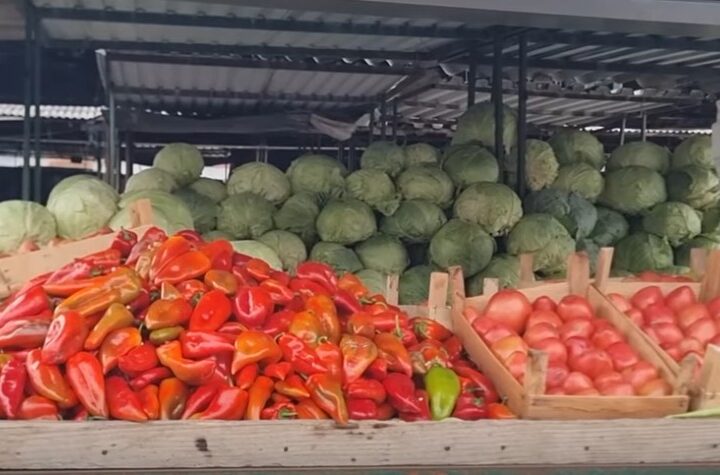 Specat e ajvarit në Kërçovë deri në 50 denarë për kilogram ! (VIDEO)