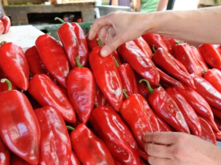 Kroacia tërheq nga tregu specat e Maqedonisë!