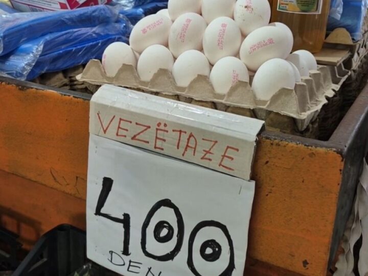400 denarë një pako me vezë! Çmimi i ushqimit për pulat po i shtrenjton vezët !