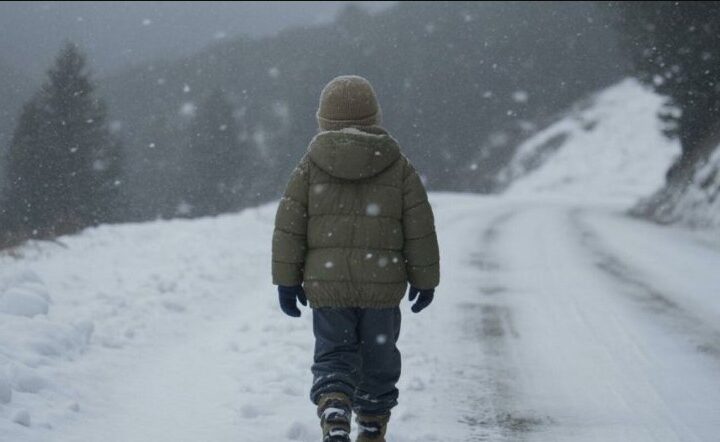 E dhimbshme! Nuk kishte biletë, shoferi e zbret nga autobusi i shkollës. 11-vjeçari ecën mes borës 6 km në këmbë