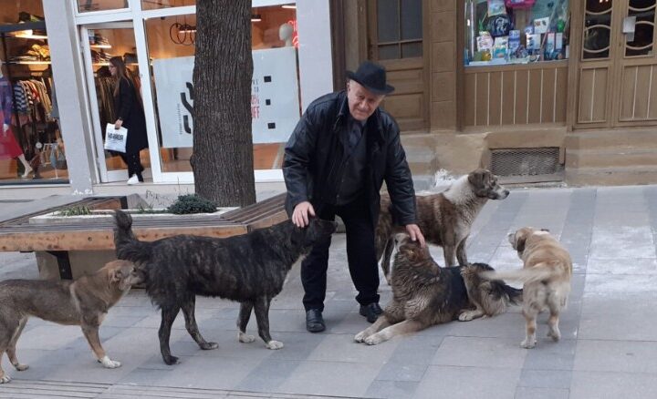 Asan Lena prej vitesh ushqen vullnetarisht qentë endacakë në Kërçovë.