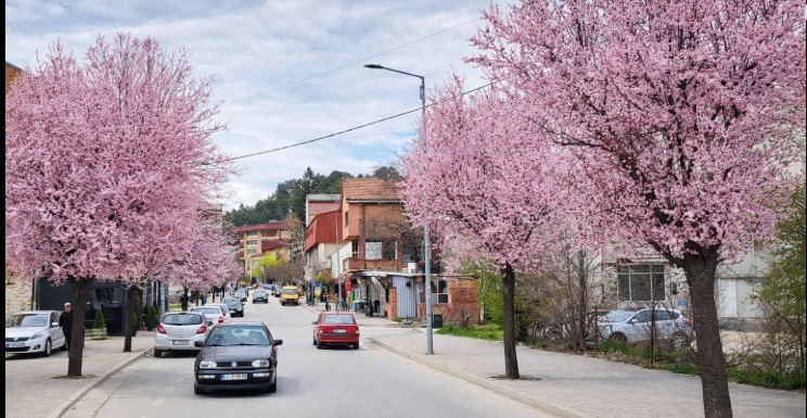 Origjina e fshatrave të Kërçovës dhe qytetit. Shkruar nga Bajram Çeliku