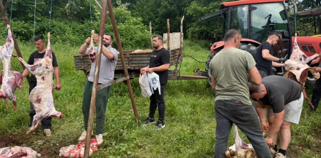 Kërçovë Shoqatata Te Berza nis shpërndarjen e kurbaneve (FOTO)