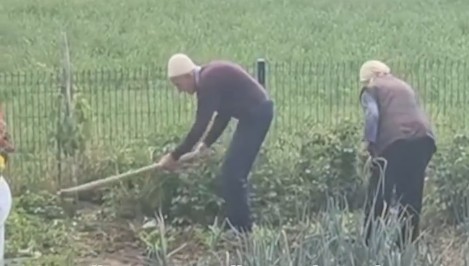 Plaku dhe plaka duke punuar tokën! Të rijtë synojnë Gjermanin ? (VIDEO)