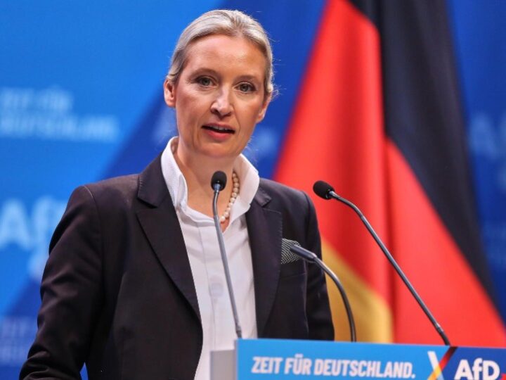 Frikë nga një fitore e AfD-së: Emigrantët mendojnë të largohen nga Gjermania
