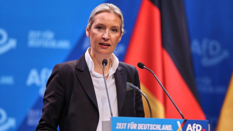 Frikë nga një fitore e AfD-së: Emigrantët mendojnë të largohen nga Gjermania