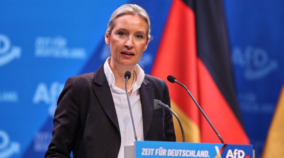 Frikë nga një fitore e AfD-së: Emigrantët mendojnë të largohen nga Gjermania